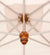Woodline 10' x 13' Pendulum Cantilever Umbrella - Rectangle