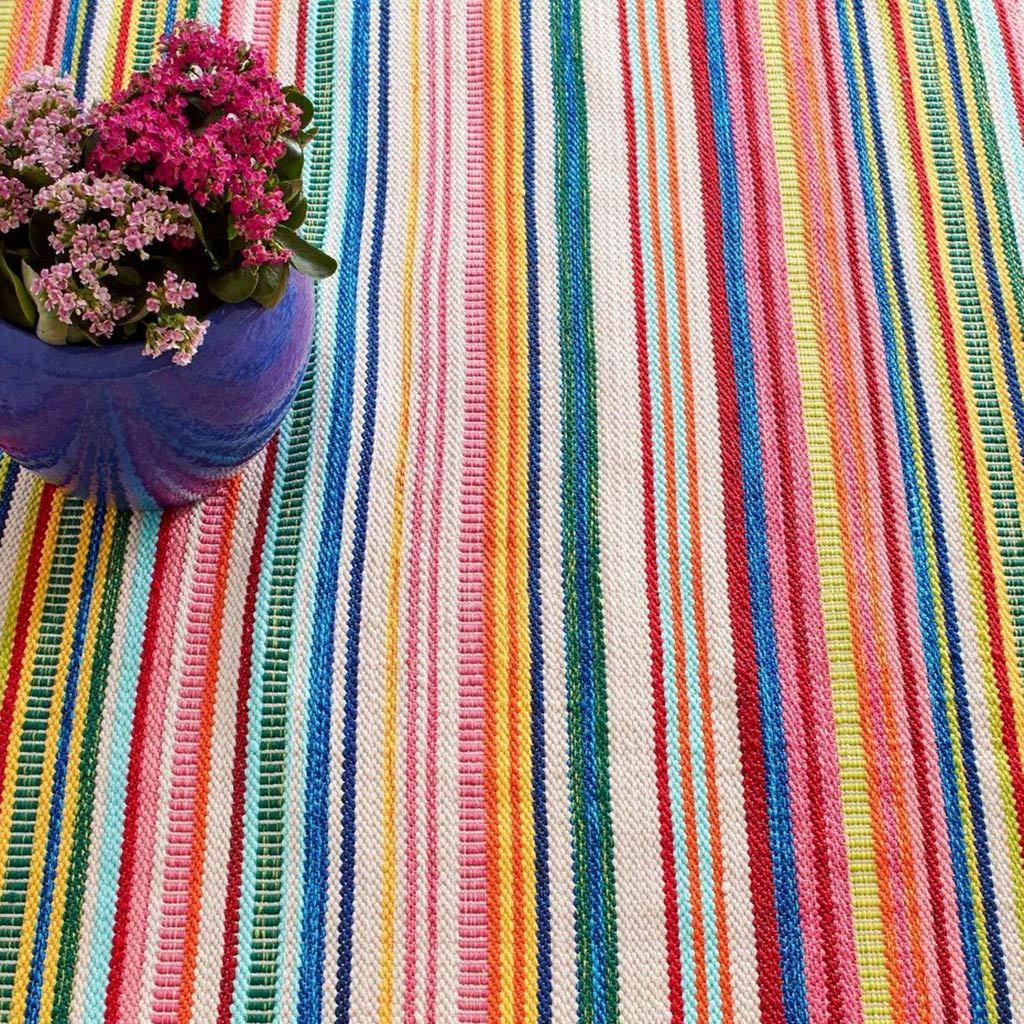 Outdoor Multi Color Rugs