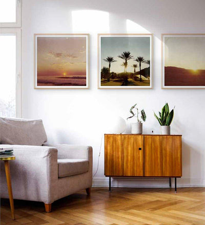 lifestyle, Allred Co-Grand Image Home-Hope Bainbridge - Palm Trees - 125733_P