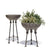 lifestyle, Tamsy Planter - Small & Large - Raw Grey Cast Stone