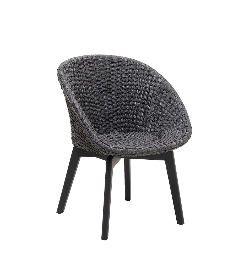 Peacock Chair w/ Black Aluminum Legs