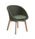 Allred Collaborative - Cane-Line -  Peacock Chair w/ Teak Legs - Outdoor with Dark Green Link cushion