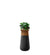 Soma Slim X-Small Planter - Natural Wood Top SOM09W