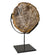 Noir Wood Fossil with Stand - 12 in AM-39A