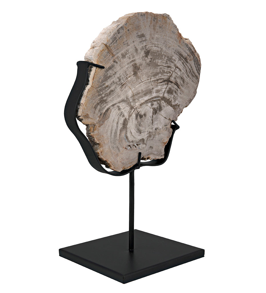 Noir Wood Fossil with Stand - 8 in AM-39C