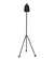 Noir Asti Floor Lamp - Black Steel LAMP445MTB