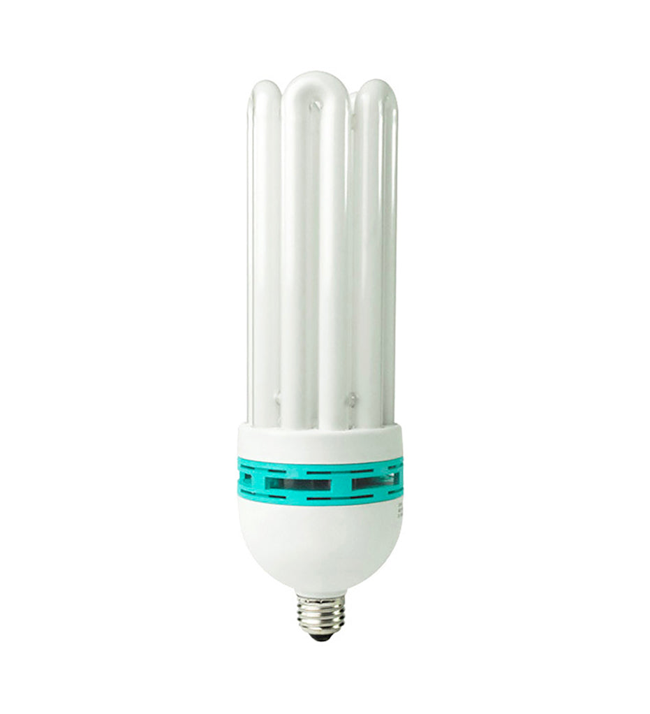 Compact Fluorescent Bulb - XL Size - 65w Warm Light