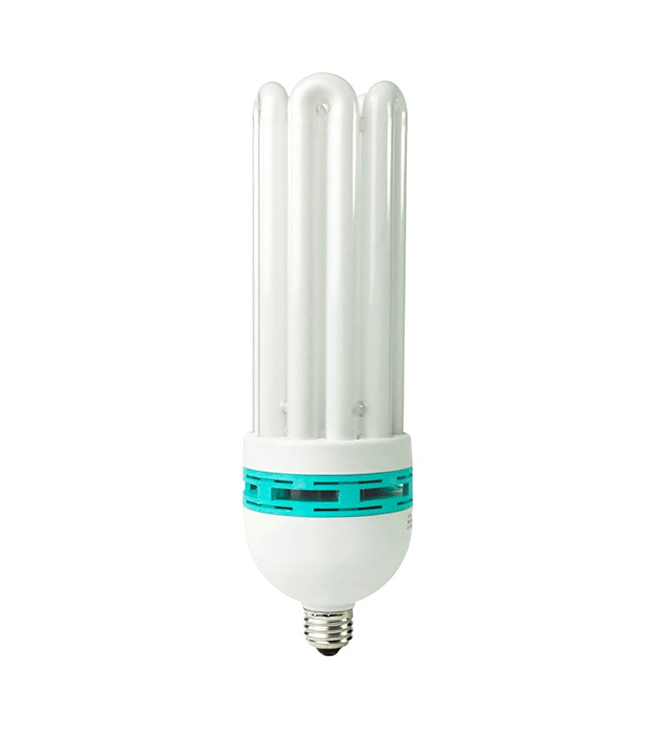 Compact Fluorescent Bulb - XL Size - 65w Cool Light