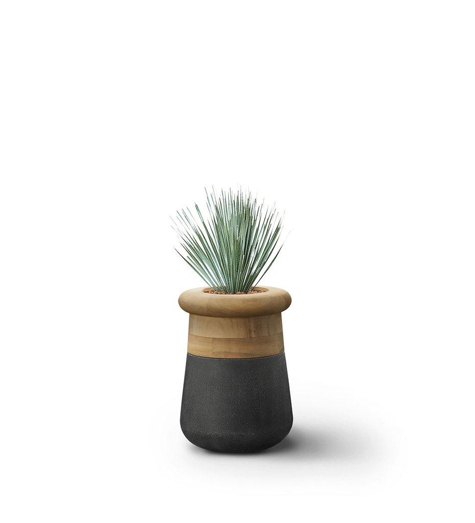 Soma Small Table Top Planter -  Wood Top