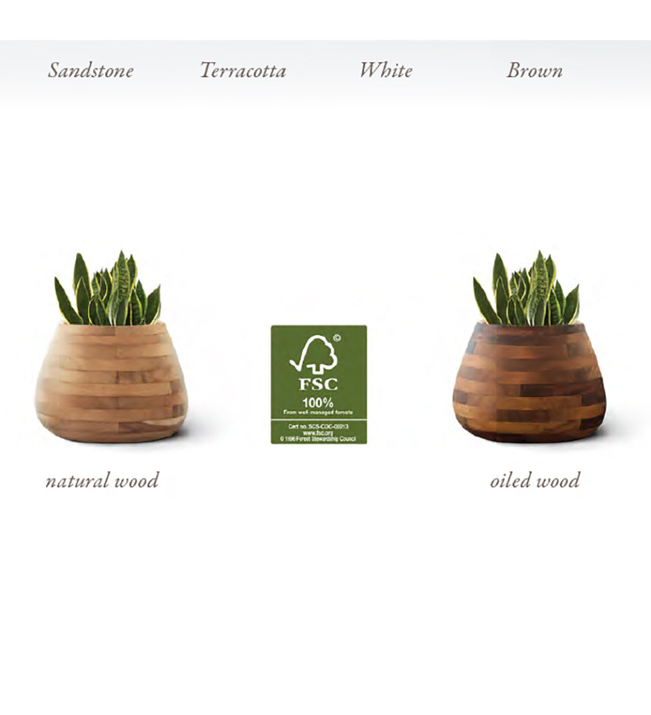 Indigenus Terra X-Small Square Planter with Natural Wood Base TER05W