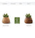 Indigenus Terra X-Small Square Planter with Natural Wood Base TER05W