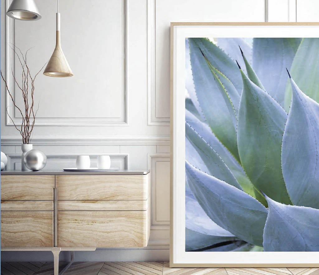 Juniper House-Grand Image Home-Thea Schreck-Agave 1